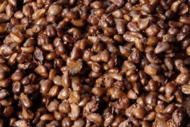 Виноградна кісточка