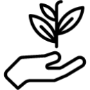 Дбайливість