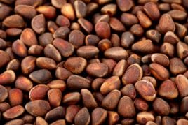 Кедровий горіх