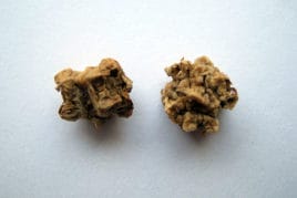 Насіння буряка