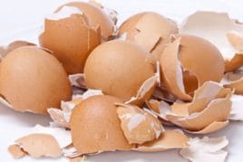 Яєчна шкаралупа